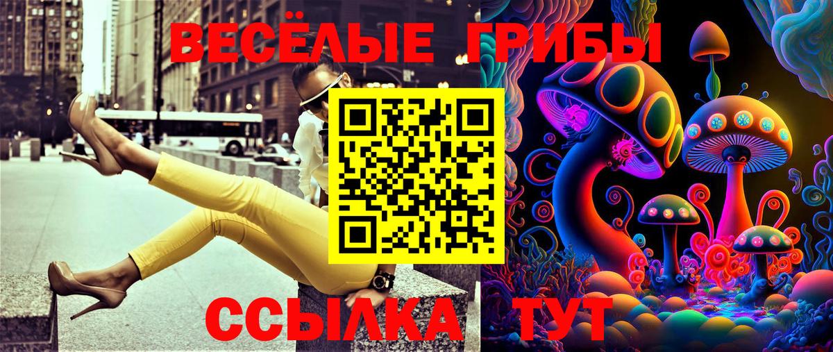 Галлюциногенные грибы мицелий Нижнекамск